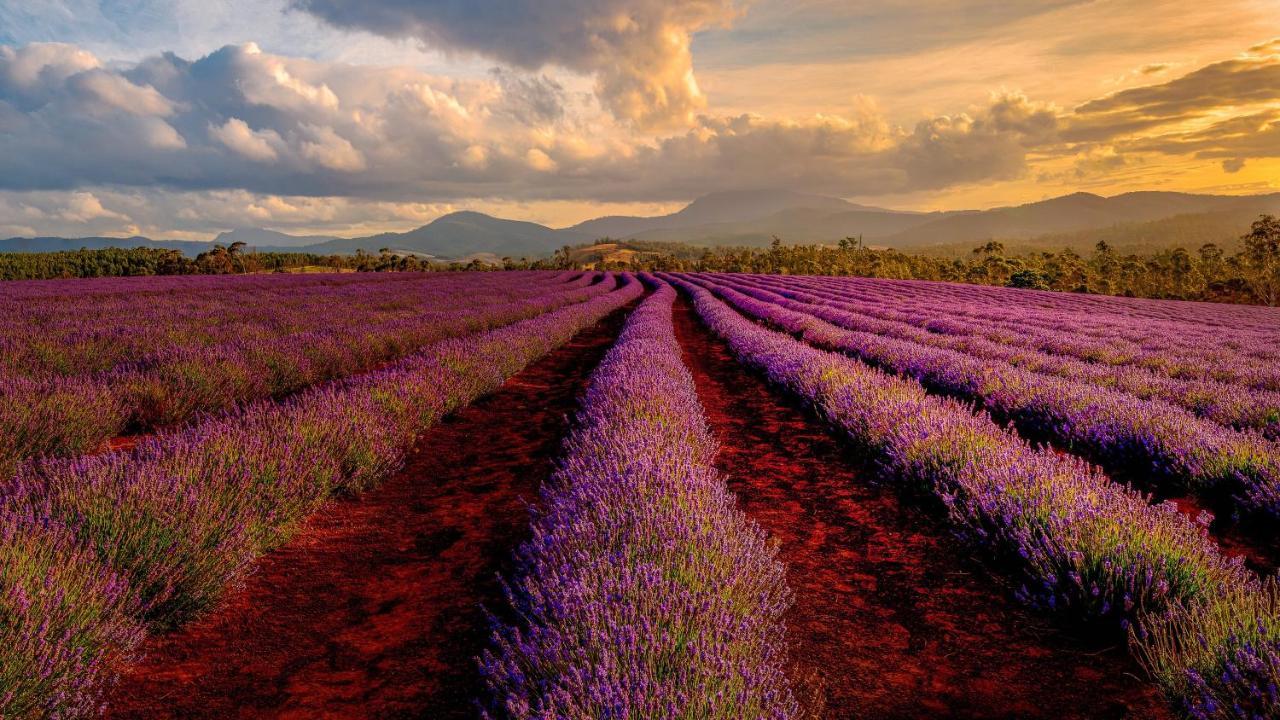 فندق كامبانيل مانوسك المظهر الخارجي الصورة